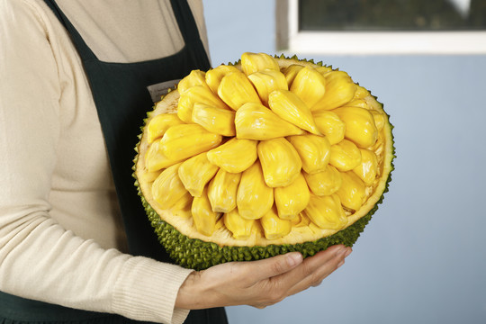 兔子镇的火狐狸