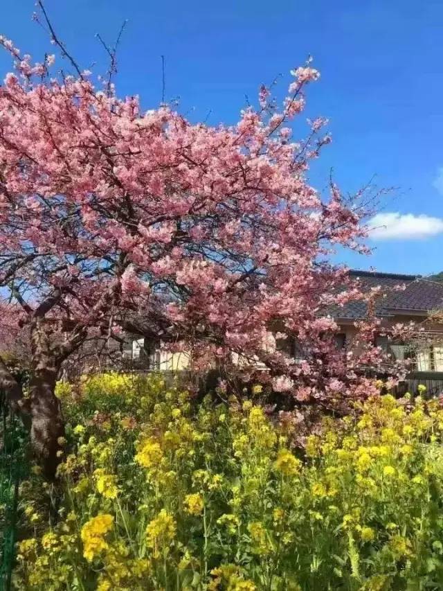 养鬼吃人2：魔界追魂