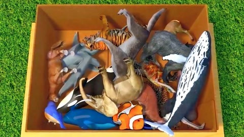 八侍卫之王者天下