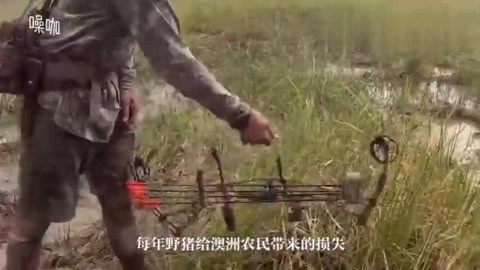 凯文·哈特：黑人历史指南