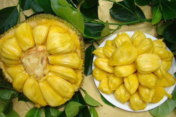 八百壮士 八百壯士